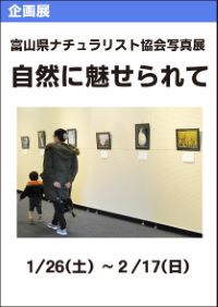 企画展「富山県ナチュラリスト協会写真展」
