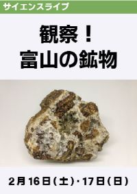 サイエンスライブ「観察！富山の鉱物」