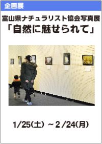 富山県ナチュラリスト協会写真展「自然に魅せられて」