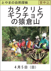 とやまの自然探検「カタクリとギフチョウの猿倉山」