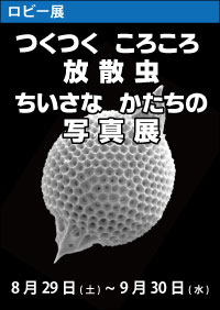 ロビー展「つくつく ころころ 放散虫　ちいさな かたちの 写真展」