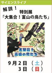 サイエンスライブ「解説！特別展「大集合！富山の鳥たち」」