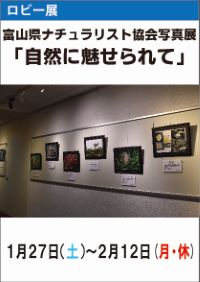 ロビー展「富山県ナチュラリスト協会写真展」