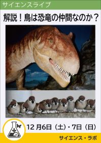 サイエンスライブ「解説!鳥は恐竜の仲間なのか?」