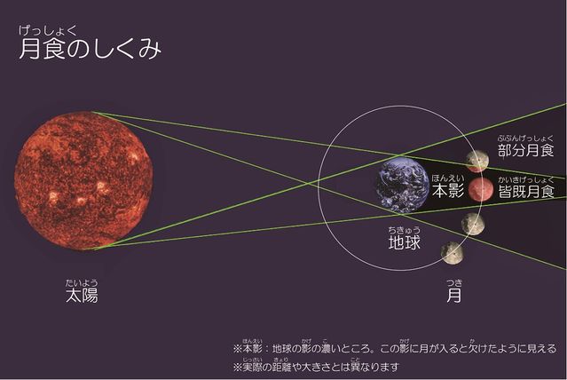 102434_02.jpg 102434_02.jpg