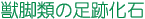 brނ̑Չ