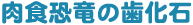 H̎