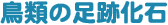 ނ̑Չ