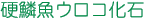 d؋ER