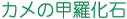 J̍b