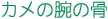 J̘r̍
