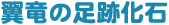 ̑Չ