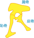Ֆڂ̍ՃCXg