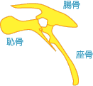Ֆڂ̍ՃCXg