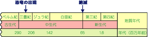 ̎CXg