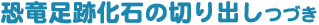 Չ΂̐؂oÂ