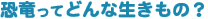 ĂǂȐ
