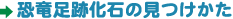 Չ΂̌