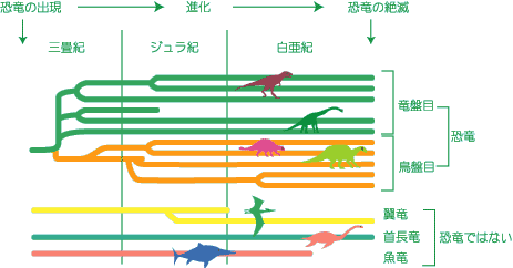 ̐iCXg