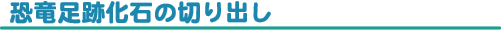 Չ΂̐؂o