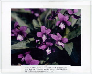 100067_02.jpg