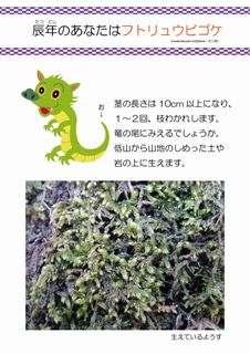 辰年 干支パネル