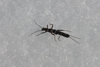 100340_02.JPG