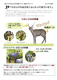 ニホンジカの見分け方