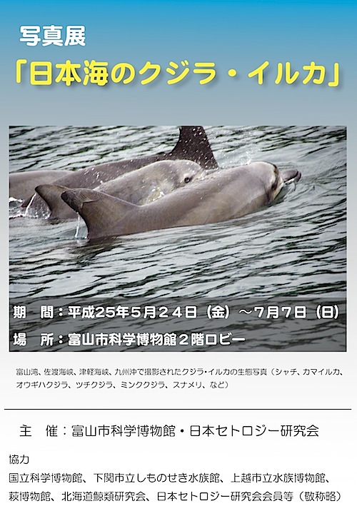 クジラ写真展