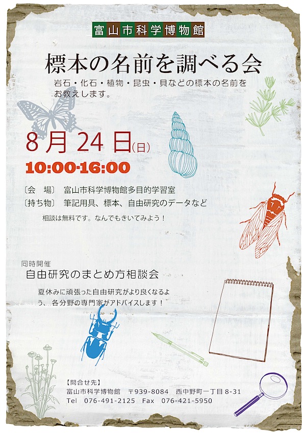 標本の名前を調べる会・自由研究のまとめ方相談会