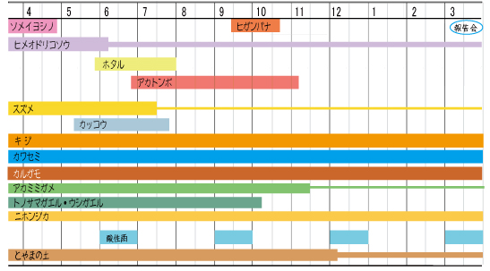 調査のこよみ2015年度