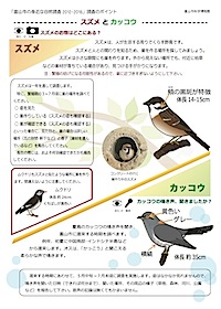 スズメとカッコウの見分け方