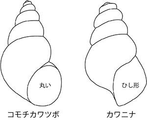 鹿島34mパラボラアンテナ