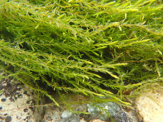 103416_02.jpg 103416_02.jpg