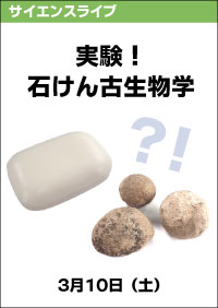 サイエンスライブ「実験！石けん古生物学」