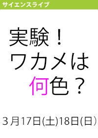 サイエンスライブ「実験！ワカメは何色」