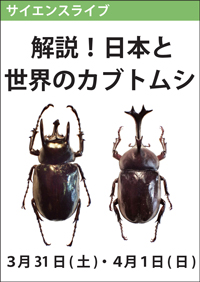 サイエンスライブ「解説！日本と世界のカブトムシ」