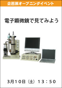 企画展「科学×芸術 ミクロファンタジー」オープニングイベント「電子顕微鏡で見てみよう」