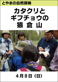 とやまの自然探検「カタクリとギフチョウの猿倉山」