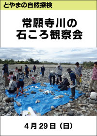 とやまの自然探検「常願寺川の石ころ観察会」