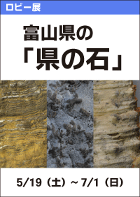 ロビー展 富山県の「県の石」