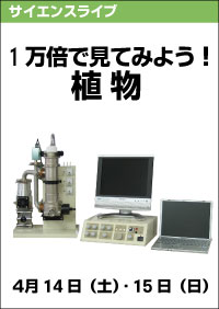 サイエンスライブ「1万倍で見てみよう！植物」