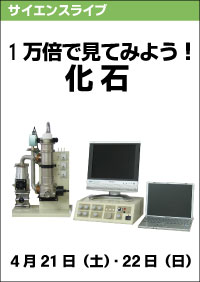 サイエンスライブ「1万倍で見てみよう！化石」