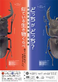 特別展「どっちがどっち？似ている生き物くらべ」