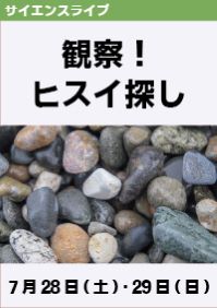 サイエンスライブ「観察！ヒスイ探し」