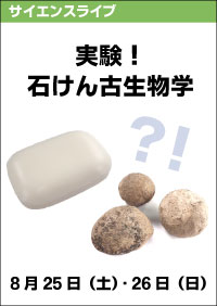 サイエンスライブ「実験！石けん古生物学」