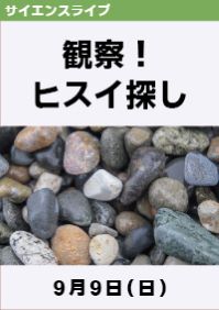 サイエンスライブ「観察！ヒスイ探し」