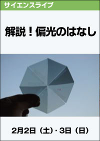 サイエンスライブ「解説！偏光のはなし」