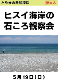 とやまの自然探検「ヒスイ海岸の石ころ観察会」