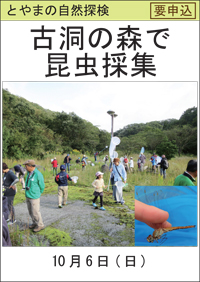 とやまの自然探検「古洞の森で昆虫採集」